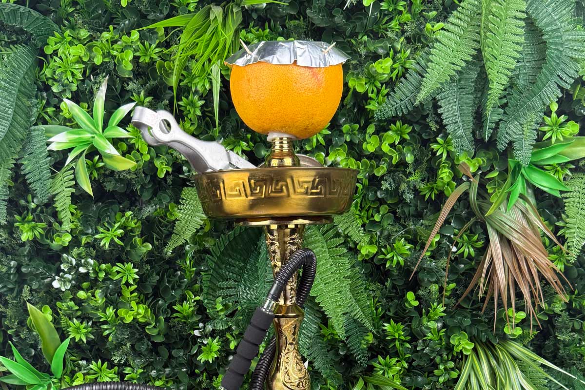 Orange Head at Arabisca