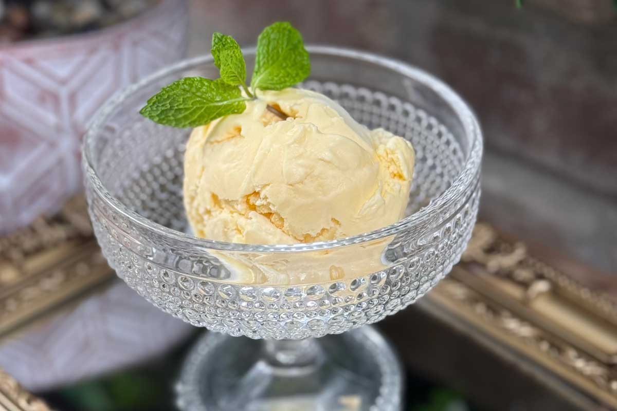 Ice Cream Scoop at Arabisca
